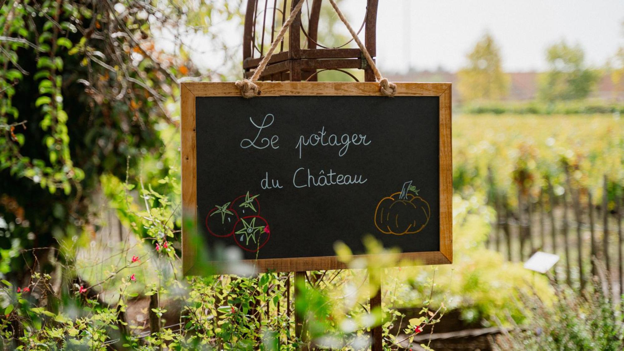 Château Pape Clément Pessac Esterno foto